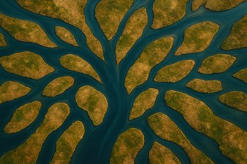 Река с несколькими островами и протоками, вид сверху